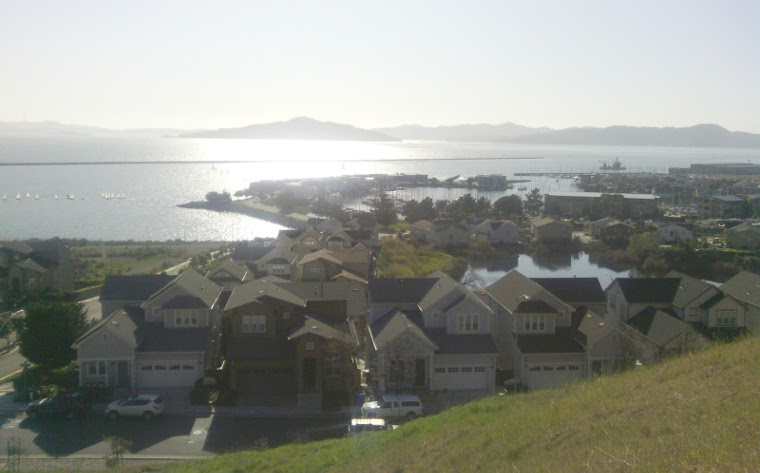 image19